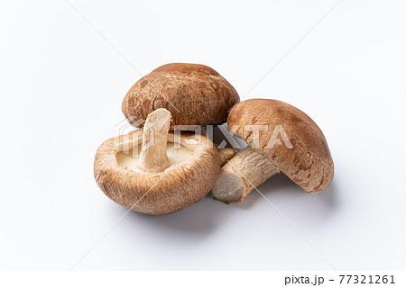 椎茸 77321261