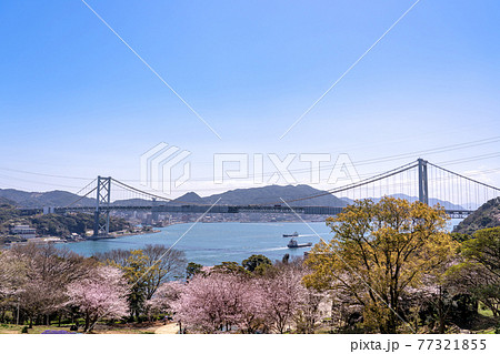 山口県下関市 春のトルコチューリップ園と関門海峡の眺め 山口県下関市 春のトルコチューリップ園と関門海峡の眺め 77321855
