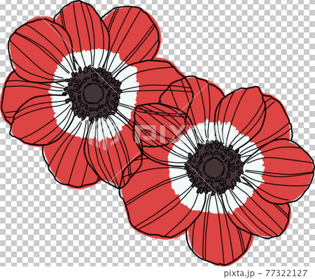 花素材 イラスト アネモネの装飾のイラスト素材