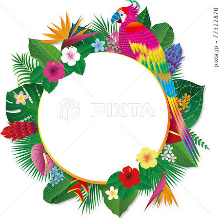熱帯の花と葉とオウムのような空想の鳥の枠。 ベクターイラストのイラスト素材 [77322870] - PIXTA