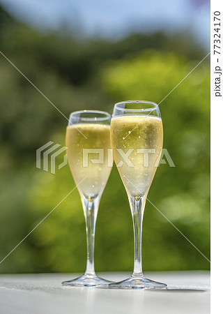シャンパン　シャンパングラス 77324170