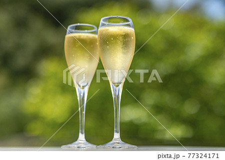 シャンパン シャンパングラス シャンパン シャンパングラス 77324171