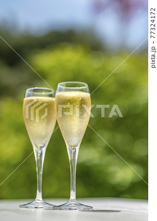 シャンパン　シャンパングラス 77324172