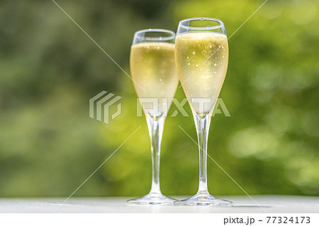 シャンパン シャンパングラス シャンパン シャンパングラス 77324173