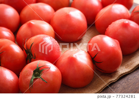 たくさんトマト たくさんトマト 77324281