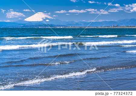 《神奈川県》片瀬西浜・富士山を望む海岸 77324372