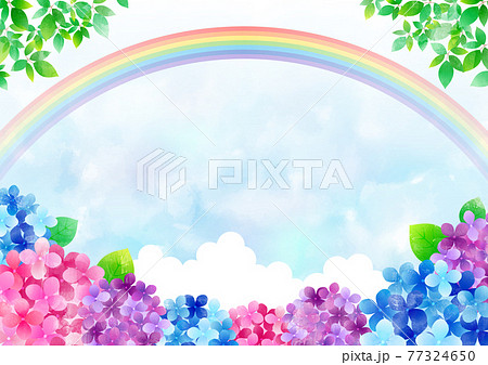 梅雨の紫陽花 背景フレーム ☆ バリエーション多数 77324650
