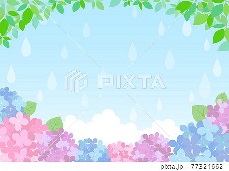 梅雨の紫陽花 背景フレーム ☆ バリエーション多数 77324662