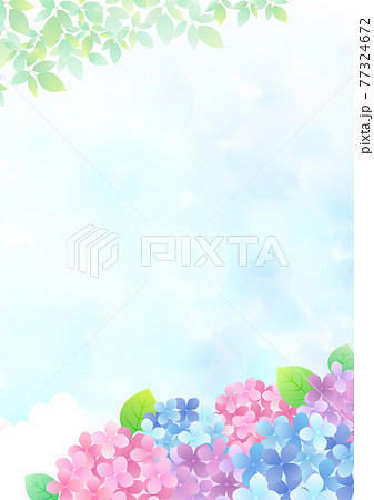 梅雨の紫陽花 背景フレーム バリエーション多数のイラスト素材