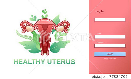 banner female genital organ uterus banner female genital organ uterus 77324705