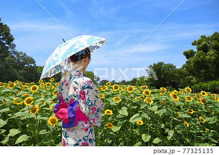 ひまわりと浴衣姿の女性 ひまわりと浴衣姿の女性 77325135