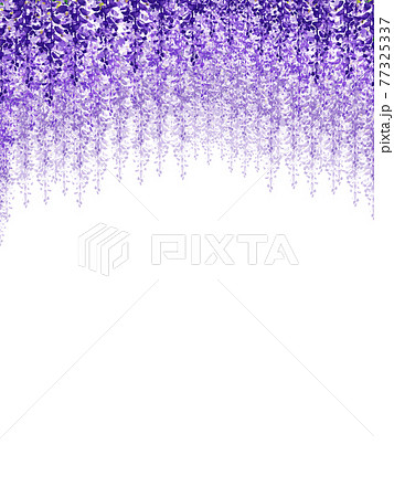 藤棚のトンネル　縦 77325337