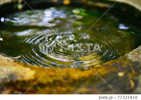 水琴窟 77325810