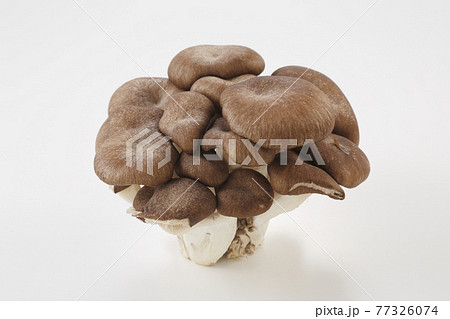 ひらたけ 77326074