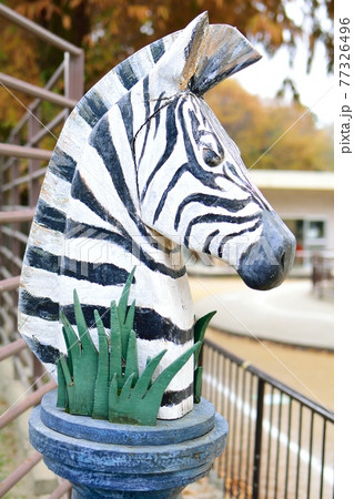 シマウマの頭の模型 77326496