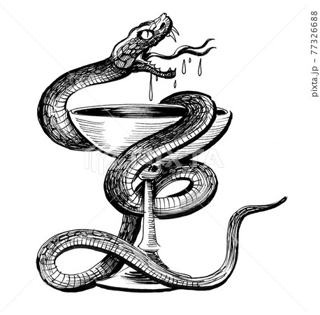Poisonous snake and a cup as a medical symbol. Ink black and white drawing Poisonous snake and a cup as a medical symbol. Ink black and white drawing 77326688