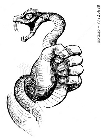 洋楽 Anonymous snake attack 7\"US Hand colored 洋楽 Anonymous snake attack 7