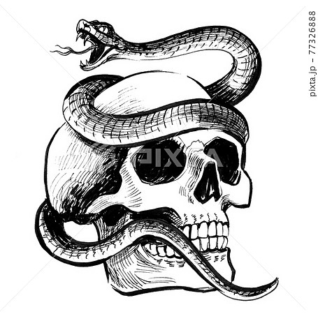 Human Skull And Poisonous Snake Ink Black And のイラスト素材
