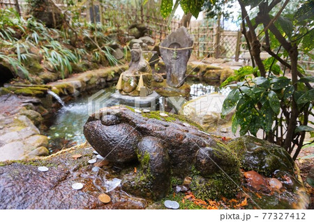 水澤寺　水澤観世音　五徳山　龍王辨財天　龍王弁財天　カエル　霊泉　群馬　渋川　伊香保 77327412