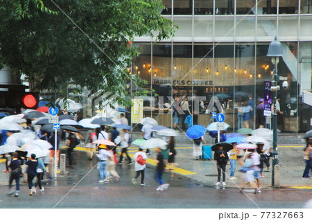 渋谷スクランブル交差点 雨の日 渋谷スクランブル交差点 雨の日 77327663