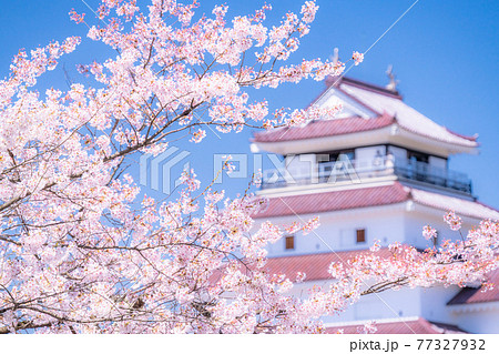 《福島県》桜満開・鶴ヶ城 77327932