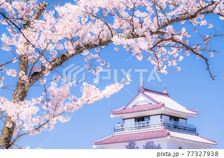 《福島県》桜満開・鶴ヶ城 77327938