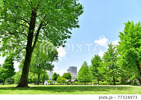 都立 武蔵国分寺公園(東京都国分寺市)【2021.4】 都立 武蔵国分寺公園(東京都国分寺市)【2021.4】 77328973