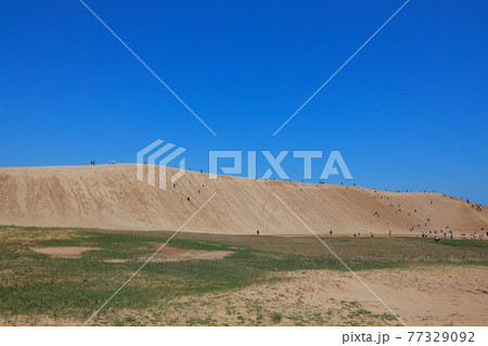 鳥取砂丘 77329092