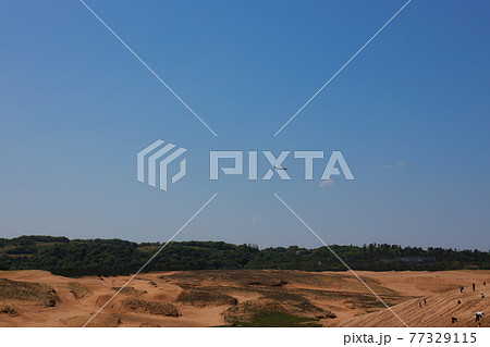 鳥取砂丘 77329115