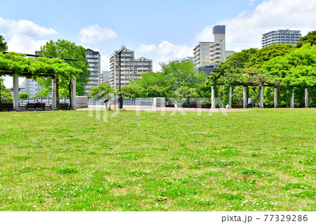 都立 武蔵国分寺公園(東京都国分寺市)【2021.4】 77329286
