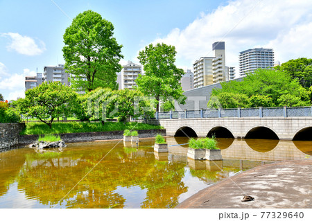 武蔵国分寺公園よりトミンハイム国分寺泉町方面を望む(東京都国分寺市)【2021.4】 武蔵国分寺公園よりトミンハイム国分寺泉町方面を望む(東京都国分寺市)【2021.4】 77329640