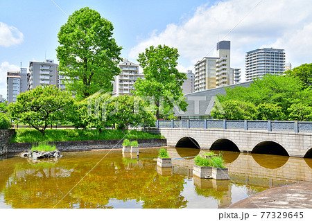 武蔵国分寺公園よりトミンハイム国分寺泉町方面を望む(東京都国分寺市)【2021.4】 武蔵国分寺公園よりトミンハイム国分寺泉町方面を望む(東京都国分寺市)【2021.4】 77329645