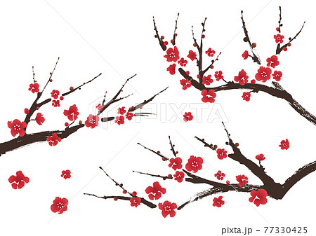 梅の枝イラストのイラスト素材
