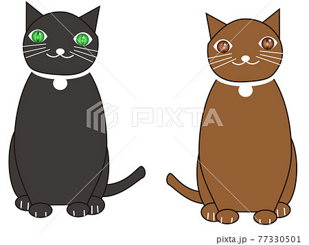 猫の友達ジェミアンとヒノキ 猫の友達ジェミアンとヒノキ 77330501