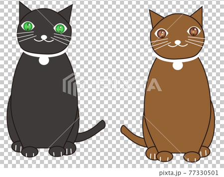 猫の友達ジェミアンとヒノキ 猫の友達ジェミアンとヒノキ 77330501
