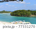 石垣島の楽園 77331270