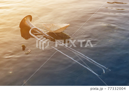 wind instrument pipe lies in the water, in the sea or ocean, next to a paper boat of music, a concept 77332004