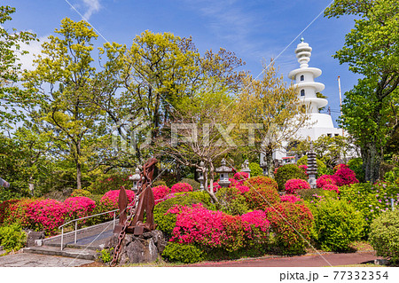 (静岡県)伊東・小室山公園 満開のツツジと慰霊塔 (静岡県)伊東・小室山公園 満開のツツジと慰霊塔 77332354