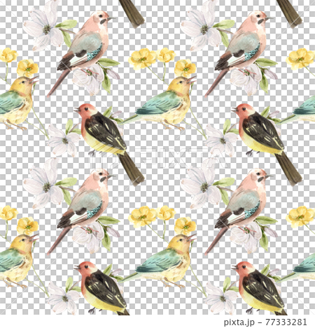 Spring birds pattern watercolor Spring birds pattern watercolor 77333281