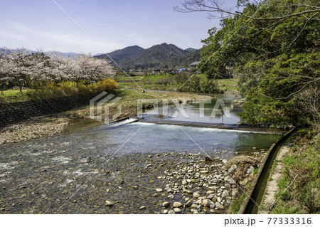 賣沼神社 売沼神社 曳田川 鳥取県鳥取市 賣沼神社 売沼神社 曳田川 鳥取県鳥取市 77333316
