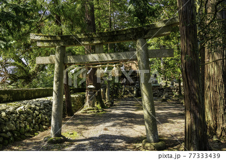 賣沼神社 売沼神社 鳥居 鳥取県鳥取市 賣沼神社 売沼神社 鳥居 鳥取県鳥取市 77333439