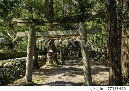 賣沼神社 売沼神社 鳥居 鳥取県鳥取市 賣沼神社 売沼神社 鳥居 鳥取県鳥取市 77333440