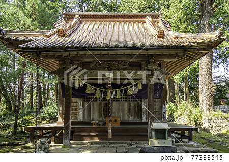 賣沼神社　売沼神社　拝殿　鳥取県鳥取市 77333545