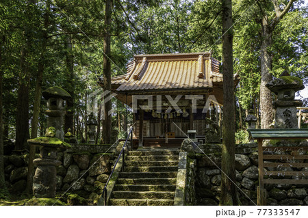 賣沼神社　売沼神社　拝殿　鳥取県鳥取市 77333547