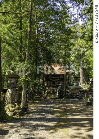 賣沼神社 売沼神社 拝殿 鳥取県鳥取市 賣沼神社 売沼神社 拝殿 鳥取県鳥取市 77333548