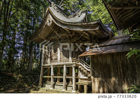 賣沼神社　売沼神社　本殿　鳥取県鳥取市 77333620