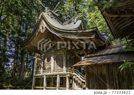 賣沼神社 売沼神社 本殿 鳥取県鳥取市 賣沼神社 売沼神社 本殿 鳥取県鳥取市 77333622