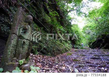 古都鎌倉の古道、朝比奈切通し 古都鎌倉の古道、朝比奈切通し 77334188