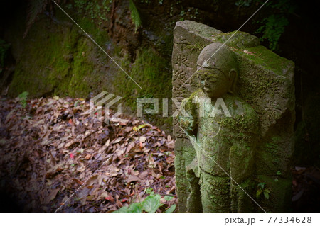 古都鎌倉の古道、朝比奈切通しのお地蔵様 77334628
