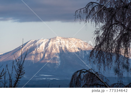 しだれ桜と黒姫山 しだれ桜と黒姫山 77334642